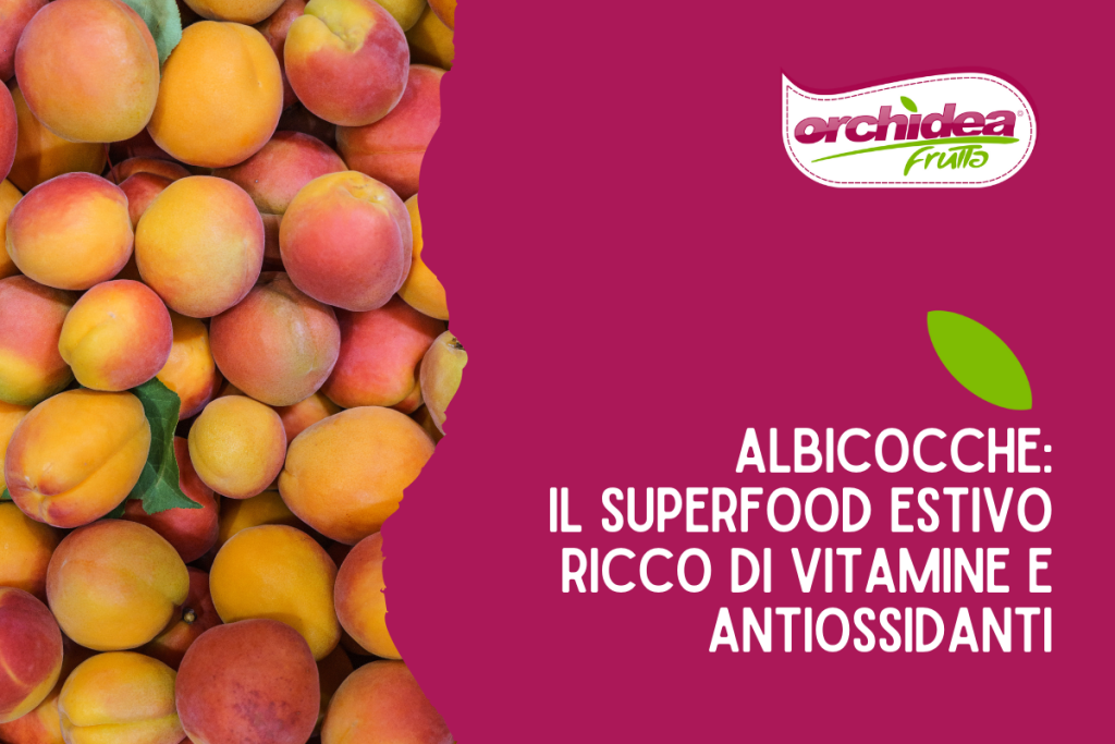Albicocche: il superfood estivo ricco di vitamine e antiossidanti