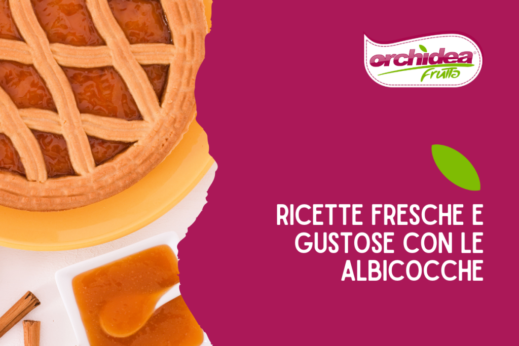 Ricette fresche e gustose con le albicocche di stagione