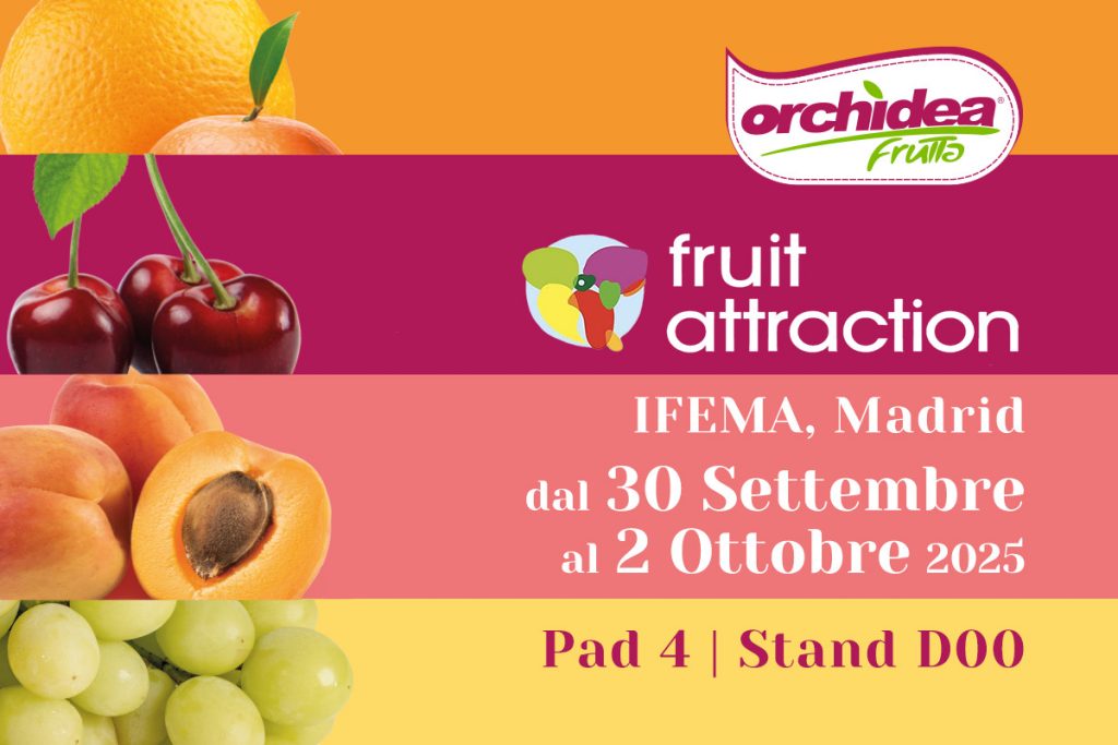 Orchidea Frutta partecipa a Fruit Attraction Madrid 2025