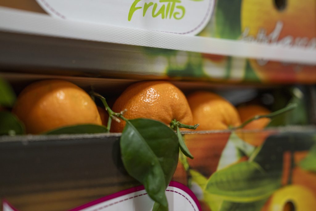 orchidea frutta nel consorzio clemetine